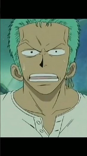 Zoro Screaming Luffy