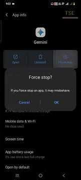 How to fix Something went wrong check your connection and try again error in Gemini ai app #gemini