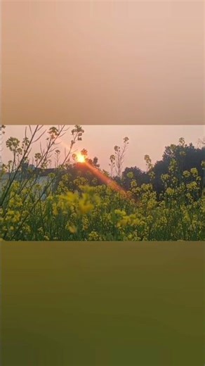 morning view sunrise ☀️ || adventures world , Life journey, special moments || important Consistency