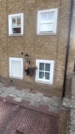 You need some more practice Tom. | Shane Wilkes