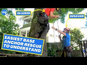 Lowerable base anchor for tree climber rescue