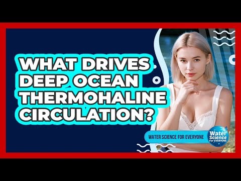 What Drives Deep Ocean Thermohaline Circulation?