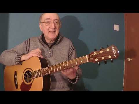 Freshman FA400D guitar review