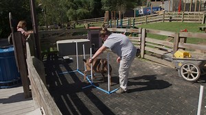 8.4K views · 211 reactions |  Have you made friends with our Kids' Farm animals? You goat-ally should! Don't miss daily keeper talks and animal encounters at 11 a.m. and 1:30 p.m. PLAN YOUR VISIT: https://s.si.edu/2h3CN1W. | Smithsonian’s National Zoo and Conservation Biology Institute | Facebook