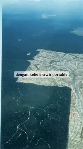 These are eco systems that existed for millions of years destroyed in a few months For instance West Papua Indonesia was one of most biodiverse forests on Earth, as many as 20,000 plant species, 602 birds, 125 mammals and 223 reptiles species lived thereA further 5 million acres now being destroyed in West Papua