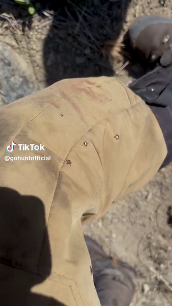 Exploring the Bear Woods: The Ultimate Hunting Experience