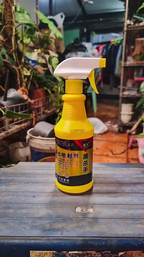 Organic Insecticide Spray for Pest-Free Homes