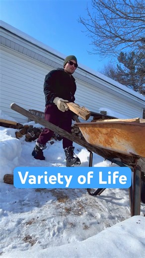 Active Lifestyle Examples #shorts