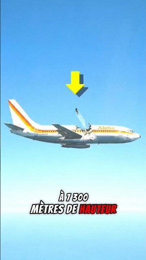 L'AVION Qui A Perdu SON TOIT (+1 Hôtesse)