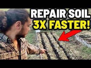 The Secret to Making Compost 3x More Effective