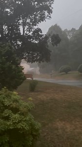 This video has quite a bit going on. Microburst, rain, wind, lightning, and....a deer freaking out. Video by Loring Pittsley. | New Bedford Guide