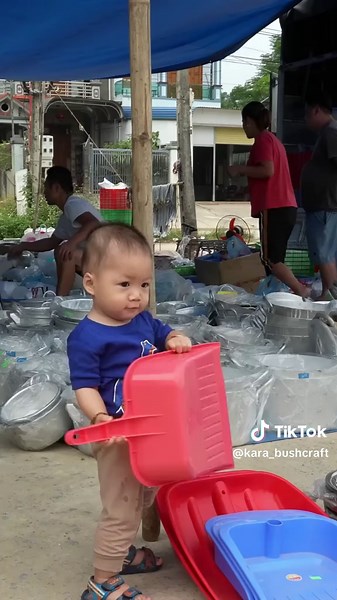Rewind Timelapse: Harvest Many Giant Chickens Hens by 3-Wheeled Truck