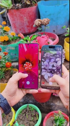 Motorola G85 5G 🆚 iPhone 15⚡Camera Test 📸 #trending #viral #motog85 #reels #insta #smartphone 📱💕