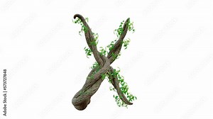Tree grow or vine in the shape of the English text. Letter font X. Alpha Channel, cg animation, 3D Render.