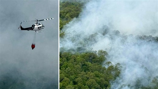 Wildfire live blog: Firefighters work to contain Cow Creek Fire in Levy County, grows to 1,850 acres