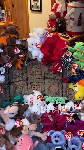 Rare Beanie Babies Collection: Organizing and Discovering 10 Rarest Beanie Babies