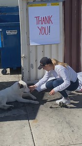 5.2M views · 118K reactions | DoorDash Driver Rescues Dog ❤️ This dog was left all alone.. Thanks so much for watching this video! I do hope you enjoy it.  Please note that this page features scripted dramas, parody and satire. The events that take place in this particular short-film video are for entertainment purposes only. Similarities to actual people or actual events are coincidences. Thanks! | Wild Life Lessons | Facebook