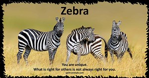Zebra Symbolism