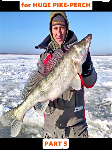 Ice Fishing Adventure: Catching Huge Pike-Perch