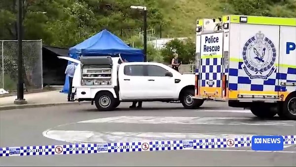 Shellharbour train station murder accused remanded in custody