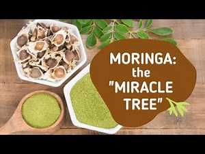 The benefits of Moringa