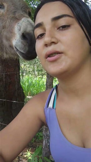 I'll wait for you to speak. #animals #millions #farm