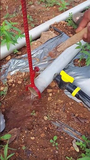 Separation process of pipe joint with innovative tools