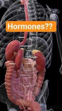 How Hormones Control Your Body? | Endocrine System Explained #shorts