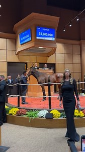 Reigning Broodmare of the Year PUCA sells for $5,000,000 at The November Sale! Puca is the dam of three consecutive G1 winning colts: 2023 Kentucky Derby winner Mage, 2024 Belmont Stakes winner Dornoch, and this year’s Pennsylvania Derby winner Baeza. Congrats to the connections: B: Raging Torrent Syndicate C: @eliteracesales, agt #FasigNovember | Fasig-Tipton