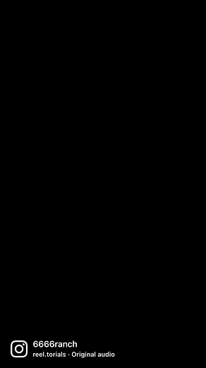 6666 Ranch Horses, branded in history. - 📸 Bee Silva Photography ••• #6666Ranch #6666QuarterHorses #HorsesWithAHistory #BrandsWithABackground | 6666 Ranch