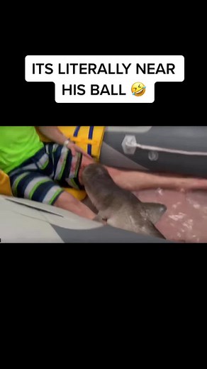 #dazgames #funny #fyp #xyzbca