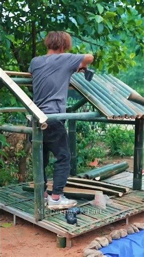 bamboo house 🏡 #wildlife #wildcamping #wildlife #girl #shortvideo