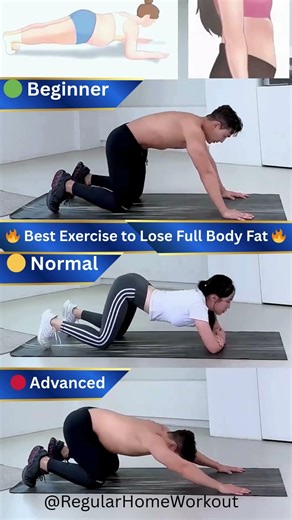 Best Full Body Workout for Fat Loss 🔥 #shorts #homeworkout #shortvideo #short