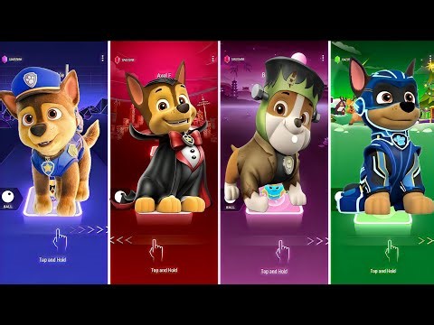 PAW Patrol Costume Chaos! 🎃 Tuxedo Chase, Mighty Rocky & Pumpkin Pup Race (Music Game Fun)