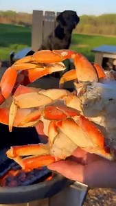 2.7M views · 26K reactions | Crab legs cooked over the fire 呂 featuring The Grill Dog ‍了 #crablegs #seafoodboil #cooking #dogsofinstagram | Breeo | Facebook