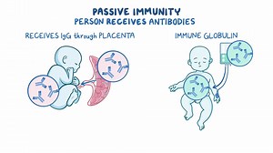 Video: Infectious diseases - Pediatric: Nursing - Video Explanation! | Osmosis