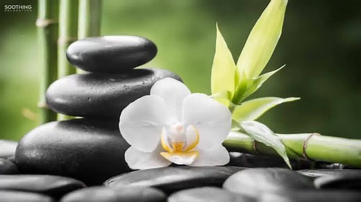 76K views · 2.2K reactions | Peder B. Helland - The Creek (#143) I'm happy to share a 10 minutes long version of my track 'The Creek'. You might also know this music as '#143' on YouTube. What do you think? And from where in the world are you listening? Have a wonderful day. :) Follow on Instagram: https://www.instagram.com/soothing.relaxation/ | Soothing Relaxation | Facebook