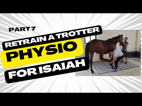 Retrain a trotter, part 7: Physiotherapy for Isaiah