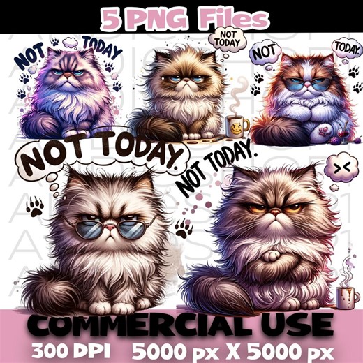 Grumpy Cat Not Today PNG Bundle, Sarcastic Cat Clipart, Sublimation Design Files - Etsy