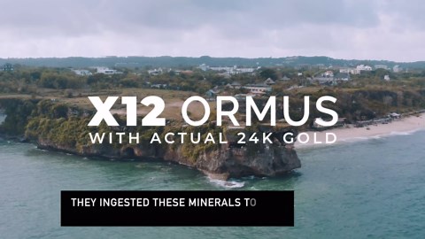 X12 Ormus Monoatomic Gold - Liquid Trace Mineral Blend with 24K Gold – Made by Real Alchemists - Dead Sea & Himalayan Salt - 4 fl oz