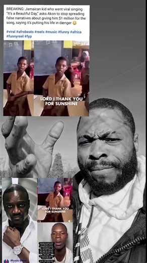 Akon's False Million-Dollar Claim Controversy Unveiled