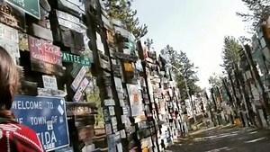 Have you explored the Sign Post Forest in Watson Lake? Here's a virtual tour of this historical landmark. There are now more than 90,000 signs from all over the world since the first one was put up in 1942! More about Watson Lake: http://fal.cn/33Dv8 📽️ fernimay via Instagram #exploreyukon | Travel Yukon