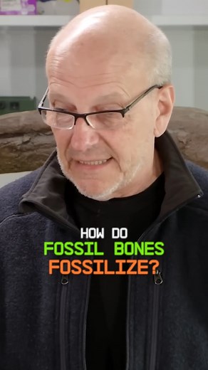 🦖 🦴 🪨 Curious minds want to know: how do bones become fossils? Discover what slowly fills in a bone and, over time, turns it into a fossil. Dr. Kenneth Lacovara, a renowned paleontologist, geologist, and member of the Colossal Scientific Advisory Board, walks you through the simple process. | Colossal Biosciences