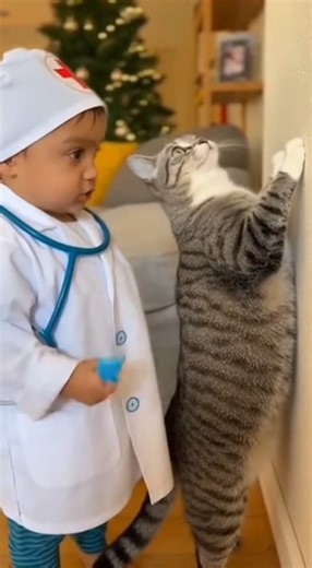 Doctor Baby Bindas Scolding the Cat 😂🐱👶 | Funniest Real Home Moment Posted by Animal Laugh World Get ready for a naturally adorable and hilarious moment! 🤣❤️ A cute baby wearing a tiny doctor uniform stands in the living room, acting very serious like a strict doctor on duty. He points his small finger at a real cat who is already standing on her two back legs, pressed tightly against the wall in a scared, guilty pose — like she knows she’s done something wrong! 🐱😳👶 The baby scolds her in