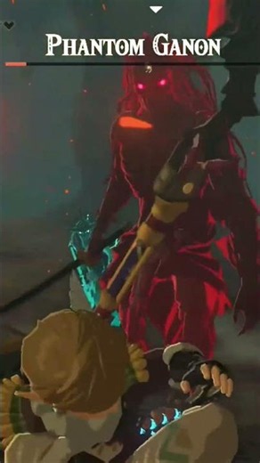 I let the others deal with Phantom Ganon along with the zonai cannon even it Link gets knock out