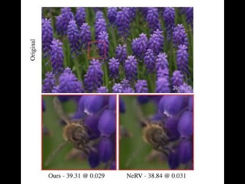 Video Compression with Entropy-Constrained Neural Representations