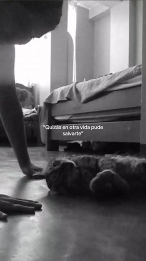 Te amare siempre - En Otra Vida Pude Salvarte