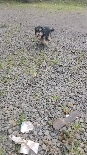 Videos de samantha.cubillo marin (@samantha.cubillo6) con “original sound - editz4u”