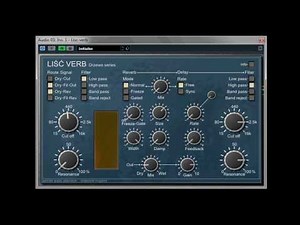 Lisc-verb tips. Bass processing