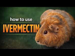 How to use Ivermectin